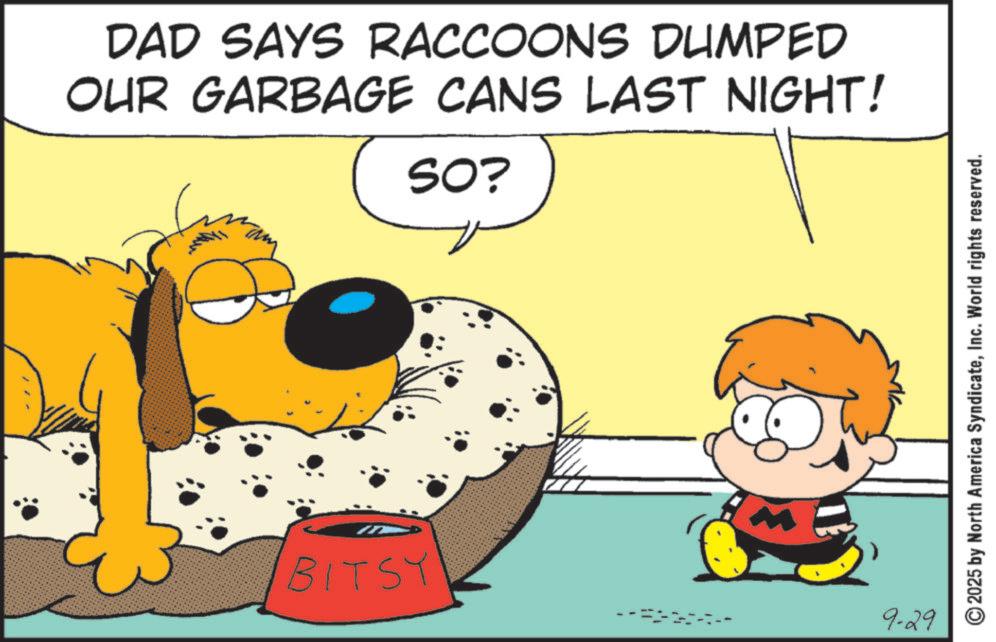 Pleased OCR: DAD SAYS RACCOONS DUMPED OUR GARBAGE CANS LAST NIGHT! SO? BITSY 9-29 2025 by North America SyndicateInc. World rights reserved. DAD SAYS RACCOONS DUMPED OUR GARBAGE CANS LAST NIGHT ! SO ? BITSY 9-29 2025 by North America SyndicateInc. World rights reserved .