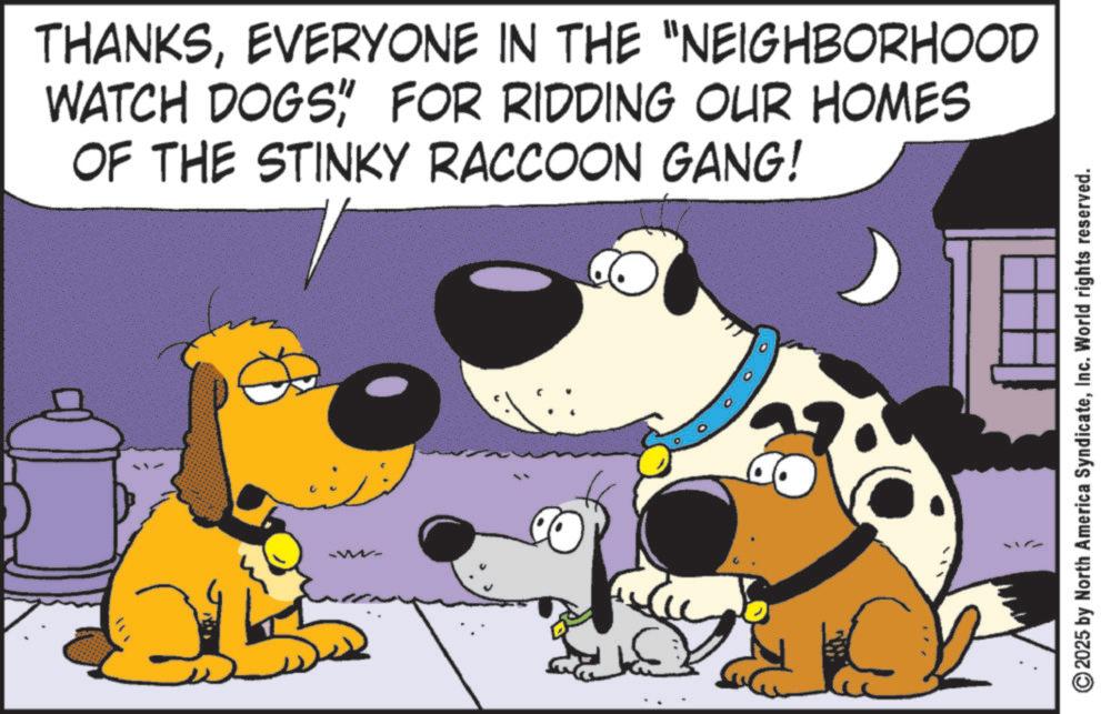 Snout OCR: THANKSEVERYONE IN THE "NEIGHBORHOOD WATCH DOGS" FOR RIDDING OUR HOMES OF THE STINKY RACCOON GANG! ? 2025 by North America SyndicateInc. World rights reserved. THANKSEVERYONE IN THE " NEIGHBORHOOD WATCH DOGS " FOR RIDDING OUR HOMES OF THE STINKY RACCOON GANG ! ? 2025 by North America SyndicateInc. World rights reserved .