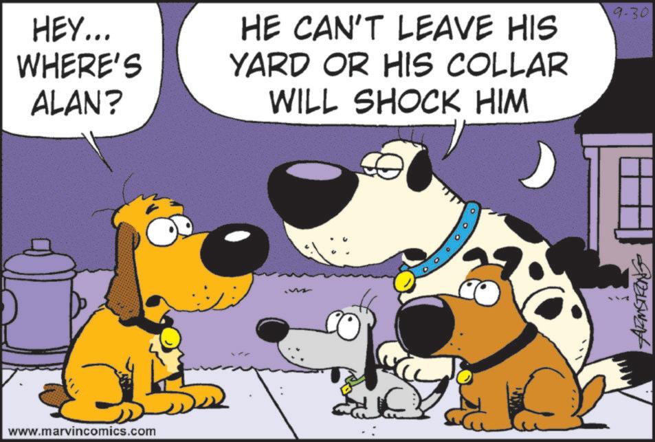 Comic book OCR: HEY... WHERE'S ALAN? HE CAN'T LEAVE HIS YARD OR HIS COLLAR WILL SHOCK HIM D www.marvincomics.com 9-30 PUBLISWAH HEY ... WHERE'S ALAN ? HE CAN'T LEAVE HIS YARD OR HIS COLLAR WILL SHOCK HIM D www.marvincomics.com 9-30 PUBLISWAH