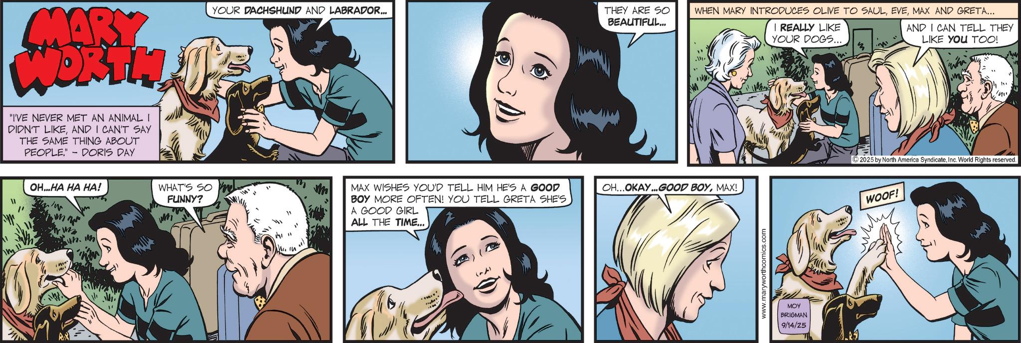 Fictional character OCR: 11 MARY WORTH "I'VE NEVER MET AN ANIMAL I DIDN'T LIKEAND I CAN'T SAY THE SAME THING ABOUT PEOPLE." -DORIS DAY OH...HA HA HA! im uh. m A YOUR DACHSHUND AND LABRADOR... THEY ARE SO BEAUTIFUL... 14 I REALLY LIKE YOUR DOGS... M WHEN MARY INTRODUCES OLIVE TO SAULMAX AND GRETA... AND I CAN TELL THEY LIKE YOU TOO! M WHAT'S SO W MAX WISHES YOU'D TELL HIM HE'S A GOOD CH...OKAY...GOOD BOYMAX! FUNNY? BOY MORE OFTEN! YOU TELL GRETA SHE'S A GOOD GIRL ALL THE TIME... 16. www.maryworthcomics.com MOY BRIGMAN 9/14/25 ? 2025 by North America SyndicateInc. World Rights reserved. WOOF! 11 MARY WORTH " I'VE NEVER MET AN ANIMAL I DIDN'T LIKEAND I CAN'T SAY THE SAME THING ABOUT PEOPLE . " -DORIS DAY OH ... HA HA HA ! im uh . m A YOUR DACHSHUND AND LABRADOR ... THEY ARE SO BEAUTIFUL ... 14 I REALLY LIKE YOUR DOGS ... M WHEN MARY INTRODUCES OLIVE TO SAULMAX AND GRETA ... AND I CAN TELL THEY LIKE YOU TOO ! M WHAT'S SO W MAX WISHES YOU'D TELL HIM HE'S A GOOD CH ... OKAY ... GOOD BOYMAX ! FUNNY ? BOY MORE OFTEN ! YOU TELL GRETA SHE'S A GOOD GIRL ALL THE TIME ... 16 . www.maryworthcomics.com MOY BRIGMAN 9/14/25 ? 2025 by North America SyndicateInc. World Rights reserved . WOOF !