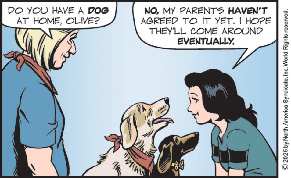 Fiction OCR: DO YOU HAVE A DOG AT HOMEOLIVE? NOMY PARENTS HAVEN'T AGREED TO IT YET. I HOPE THEY'LL COME AROUND EVENTUALLY. 2025 by North America SyndicateInc. World Rights reserved. DO YOU HAVE A DOG AT HOMEOLIVE ? NOMY PARENTS HAVEN'T AGREED TO IT YET . I HOPE THEY'LL COME AROUND EVENTUALLY . 2025 by North America SyndicateInc. World Rights reserved .