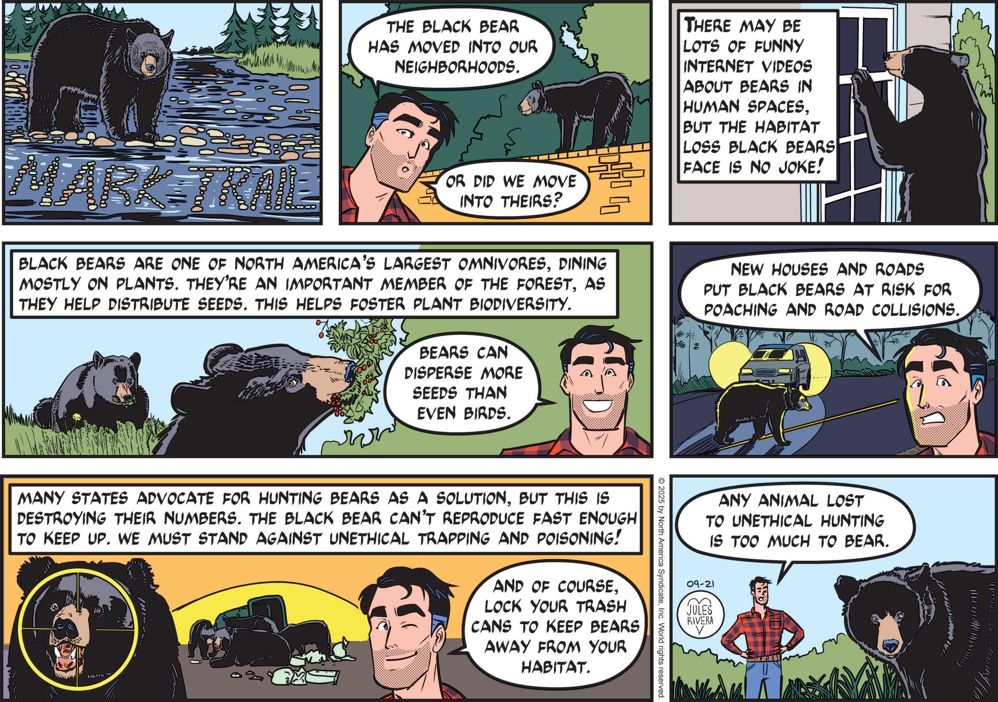 Comic book OCR: THE BLACK BEAR HAS MOVED INTO OUR NEIGHBORHOODS. THERE MAY BE LOTS OF FUNNY INTERNET VIDEOS ABOUT BEARS IN HUMAN SPACESBUT THE HABITAT LOSS BLACK BEARS FACE IS NO JOKE! MARKETKALL OR DID WE MOVE INTO THEIRS? BLACK BEARS ARE ONE OF NORTH AMERICA'S LARGEST OMNIVORESDINING MOSTLY ON PLANTS. THEY'RE AN IMPORTANT MEMBER OF THE FORESTAS THEY HELP DISTRIBUTE SEEDS. THIS HELPS FOSTER PLANT BIODIVERSITY. BEARS CAN DISPERSE MORE SEEDS THAN EVEN BIRDS. NEW HOUSES AND ROADS PUT BLACK BEARS AT RISK FOR POACHING AND ROAD COLLISIONS. 2025 by North America SyndicateInc. World rights reserved. MANY STATES ADVOCATE FOR HUNTING BEARS AS A SOLUTIONBUT THIS IS DESTROYING THEIR NUMBERS. THE BLACK BEAR CAN'T REPRODUCE FAST ENOUGH TO KEEP UP. WE MUST STAND AGAINST UNETHICAL TRAPPING AND POISONING! AND OF COURSELOCK YOUR TRASH CANS TO KEEP BEARS AWAY FROM YOUR HABITAT. ? ANY ANIMAL LOST TO UNETHICAL HUNTING IS TOO MUCH TO BEAR. 09-21 JULES RIVERA THE BLACK BEAR HAS MOVED INTO OUR NEIGHBORHOODS . THERE MAY BE LOTS OF FUNNY INTERNET VIDEOS ABOUT BEARS IN HUMAN SPACESBUT THE HABITAT LOSS BLACK BEARS FACE IS NO JOKE ! MARKETKALL OR DID WE MOVE INTO THEIRS ? BLACK BEARS ARE ONE OF NORTH AMERICA'S LARGEST OMNIVORESDINING MOSTLY ON PLANTS . THEY'RE AN IMPORTANT MEMBER OF THE FORESTAS THEY HELP DISTRIBUTE SEEDS . THIS HELPS FOSTER PLANT BIODIVERSITY . BEARS CAN DISPERSE MORE SEEDS THAN EVEN BIRDS . NEW HOUSES AND ROADS PUT BLACK BEARS AT RISK FOR POACHING AND ROAD COLLISIONS . 2025 by North America SyndicateInc. World rights reserved . MANY STATES ADVOCATE FOR HUNTING BEARS AS A SOLUTIONBUT THIS IS DESTROYING THEIR NUMBERS . THE BLACK BEAR CAN'T REPRODUCE FAST ENOUGH TO KEEP UP . WE MUST STAND AGAINST UNETHICAL TRAPPING AND POISONING ! AND OF COURSELOCK YOUR TRASH CANS TO KEEP BEARS AWAY FROM YOUR HABITAT . ? ANY ANIMAL LOST TO UNETHICAL HUNTING IS TOO MUCH TO BEAR . 09-21 JULES RIVERA