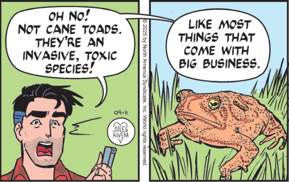 Animation OCR: OH NO! NOT CANE TOADS. THEY'RE AN INVASIVETOXIC SPECIES! LIKE MOST THINGS THAT COME WITH BIG BUSINESS. 2025 by North America SyndicateInc. World rights reserved. 09-11 JULES RIVERA V OH NO ! NOT CANE TOADS . THEY'RE AN INVASIVETOXIC SPECIES ! LIKE MOST THINGS THAT COME WITH BIG BUSINESS . 2025 by North America SyndicateInc. World rights reserved . 09-11 JULES RIVERA V