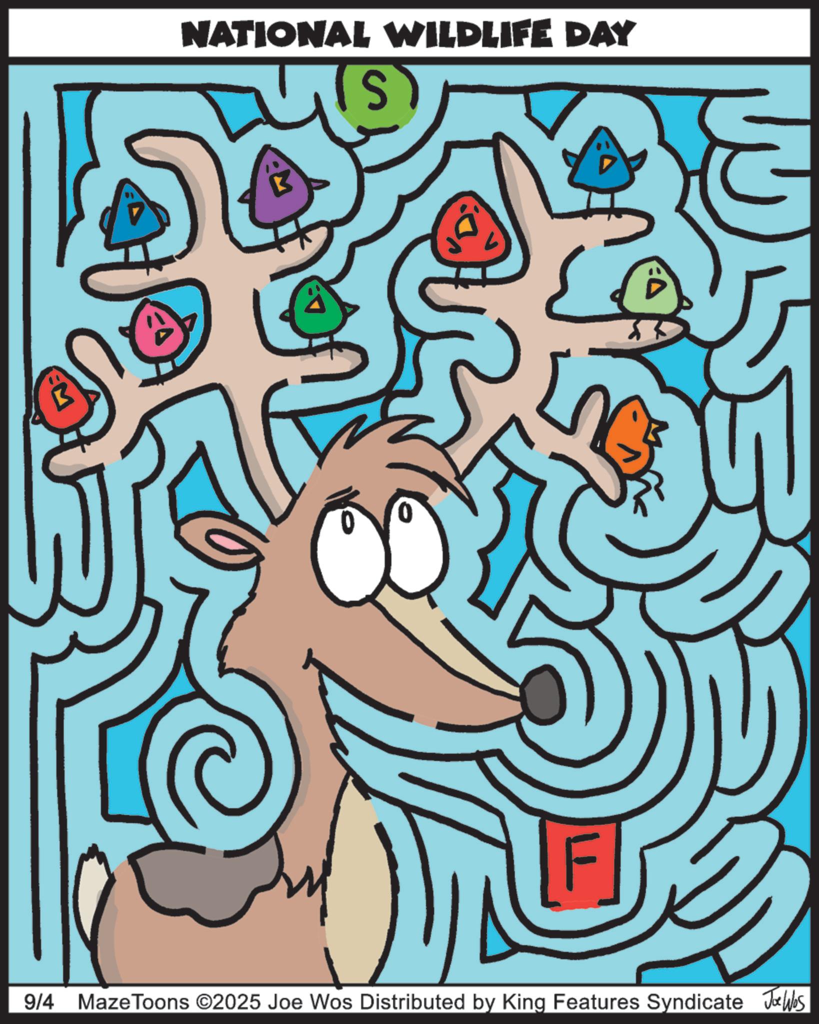 OCR: NATIONAL WILDLIFE DAY S iNG 9/4 Maze Toons ©2025 Joe Wos Distributed by King Features Syndicate Jo Was NATIONAL WILDLIFE DAY S iNG 9/4 Maze Toons © 2025 Joe Wos Distributed by King Features Syndicate Jo Was