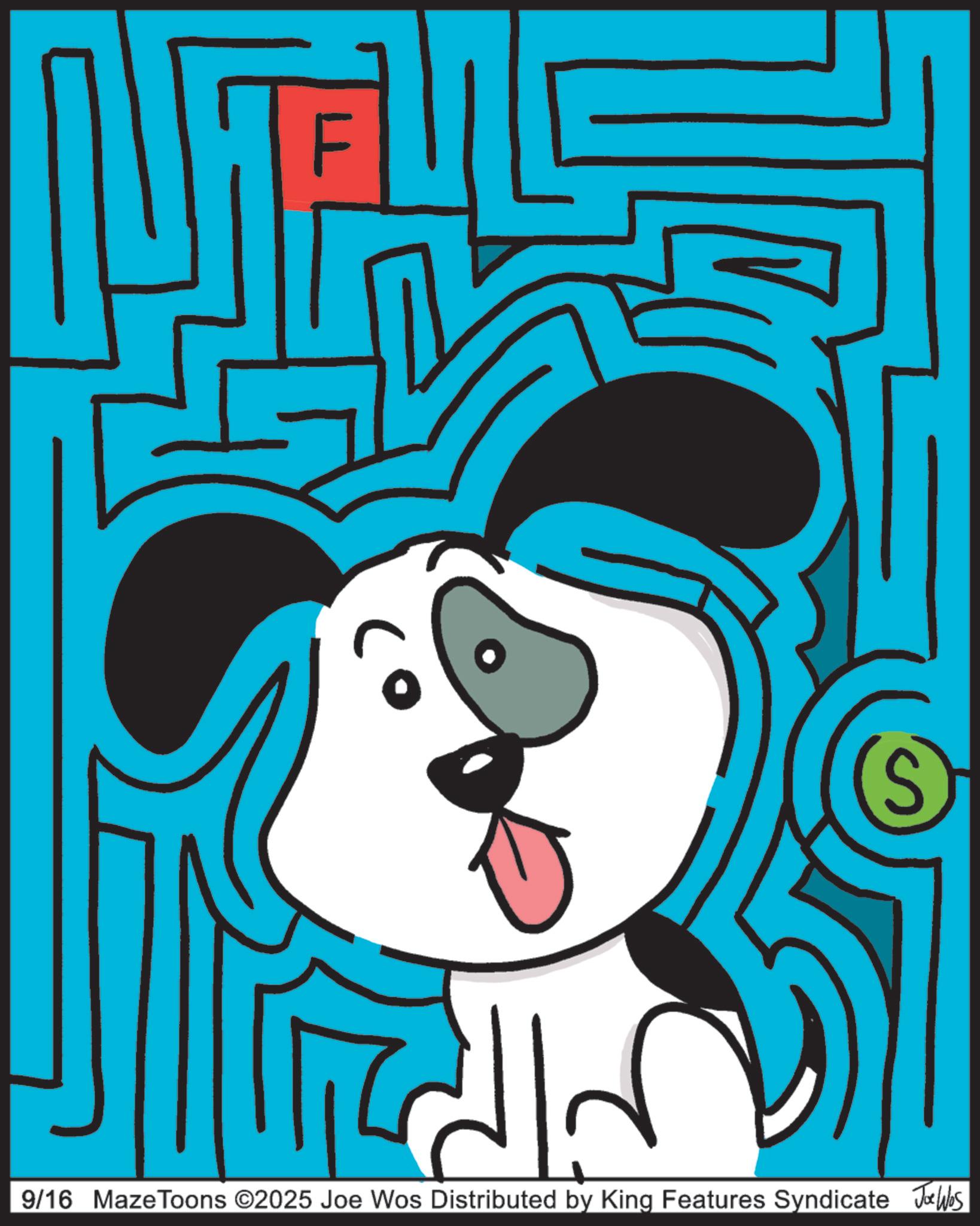 Graphic design OCR: ???? S 9/16 Maze Toons ©2025 Joe Wos Distributed by King Features Syndicate Jobs ???? S 9/16 Maze Toons © 2025 Joe Wos Distributed by King Features Syndicate Jobs