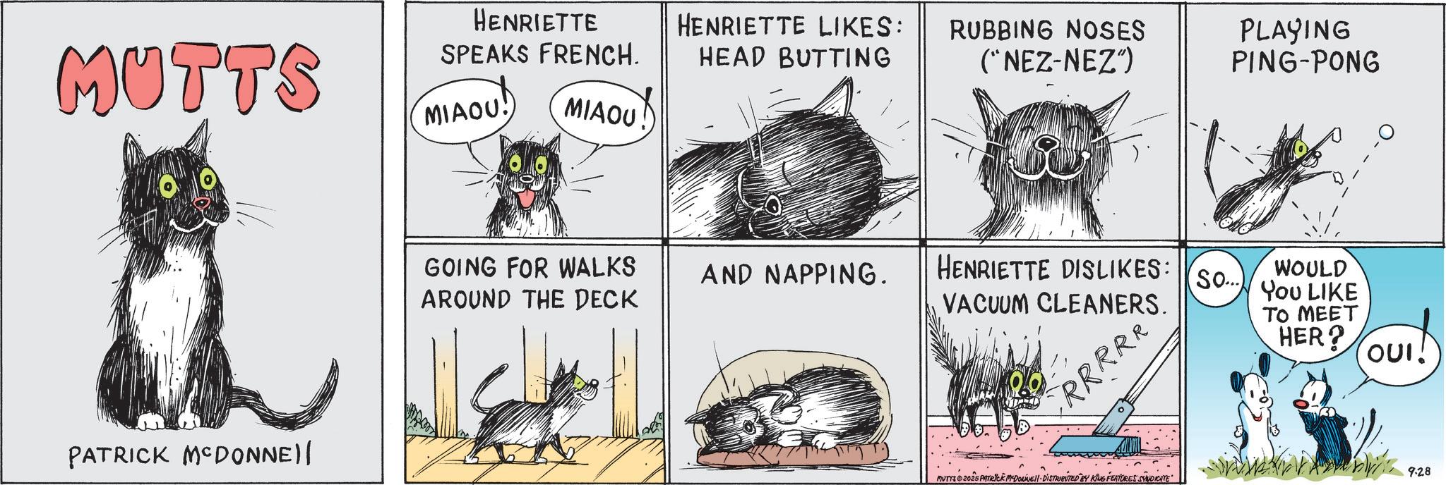 Animated cartoon OCR: HENRIETTE MUTTS SPEAKS FRENCH. HENRIETTE LIKES: HEAD BUTTING RUBBING NOSES ("NEZ-NEZ") MIAOU! MIAOU PATRICK MCDONNE)| GOING FOR WALKS AROUND THE DECK PLAYING PING-PONG AND NAPPING. HENRIETTE DISLIKES: (So...) VACUUM CLEANERS. WOULD You LIKE TO MEET RRRRR HER? OUI! 9.28 MUTYS 2025 PATRICK MYDONNE DISTRIBUTED BY KING FEATURES SYNDICATE HENRIETTE MUTTS SPEAKS FRENCH . HENRIETTE LIKES : HEAD BUTTING RUBBING NOSES ( " NEZ - NEZ " ) MIAOU ! MIAOU PATRICK MCDONNE ) | GOING FOR WALKS AROUND THE DECK PLAYING PING - PONG AND NAPPING . HENRIETTE DISLIKES : ( So ... ) VACUUM CLEANERS . WOULD You LIKE TO MEET RRRRR HER ? OUI ! 9.28 MUTYS 2025 PATRICK MYDONNE DISTRIBUTED BY KING FEATURES SYNDICATE