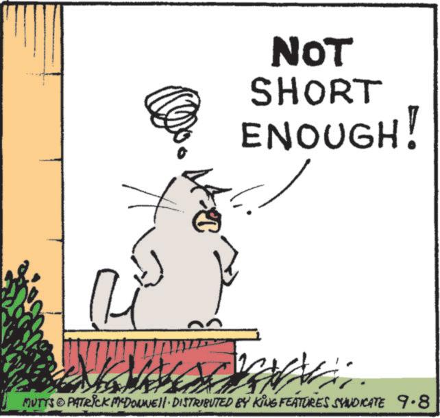 Tail OCR: NOT SHORT ENOUGH! MUTTS © PATRICK MªDONNE DISTRIBUTED BY KING FEATURES SYNDICATE 9.8 NOT SHORT ENOUGH ! MUTTS © PATRICK MªDONNE DISTRIBUTED BY KING FEATURES SYNDICATE 9.8