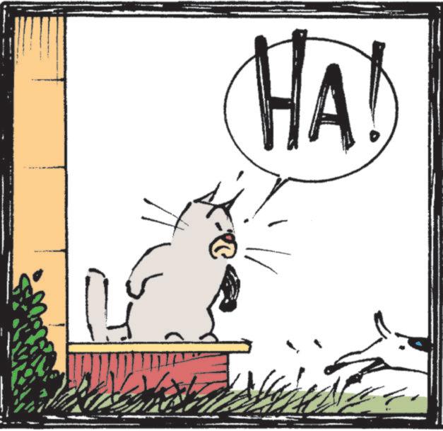 Snout OCR: K HA! K HA !