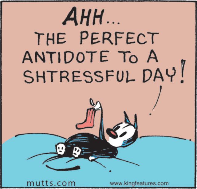 Fiction OCR: AHH... THE PERFECT ANTIDOTE TO A SHTRESSFUL DAY! mutts.com www.kingfeatures.com AHH ... THE PERFECT ANTIDOTE TO A SHTRESSFUL DAY ! mutts.com www.kingfeatures.com