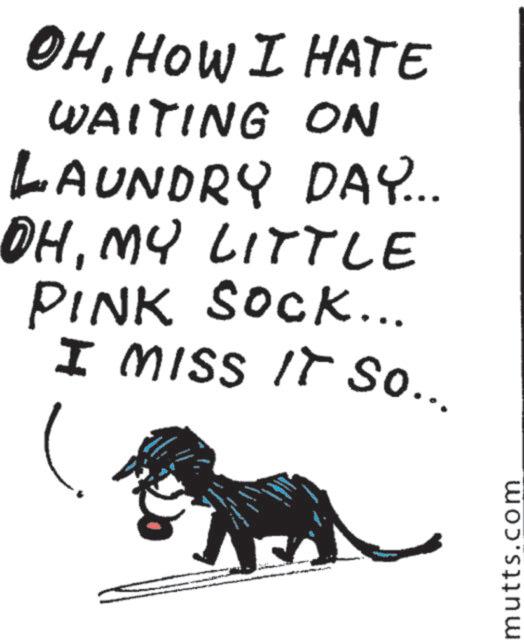 Photo caption OCR: OHHOW I HATE WAITING ON LAUNDRY DAY... OHMY LITTLE PINK SOCK... I MISS IT So... www mutts.com OHHOW I HATE WAITING ON LAUNDRY DAY ... OHMY LITTLE PINK SOCK ... I MISS IT So ... www mutts.com