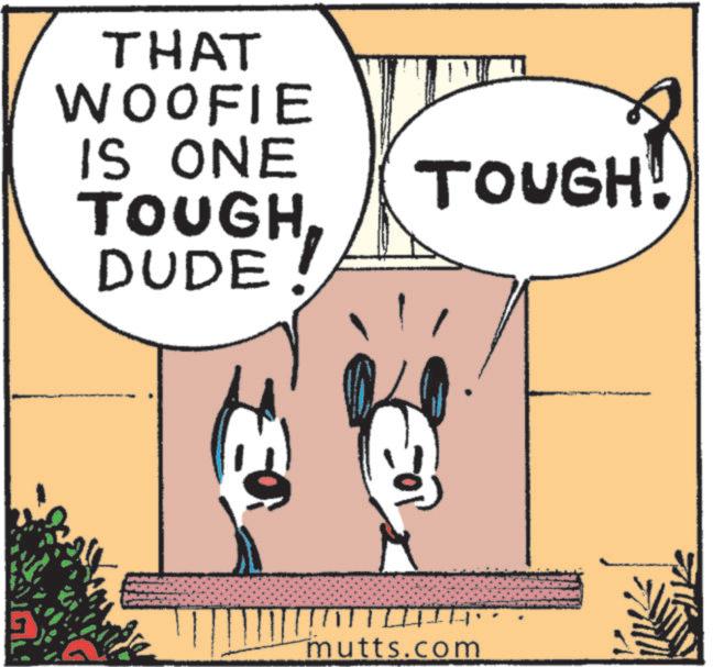 Fictional character OCR: THAT WOOFIE IS ONE TOUGHDUDE E TOUGH! mutts.com THAT WOOFIE IS ONE TOUGHDUDE E TOUGH ! mutts.com