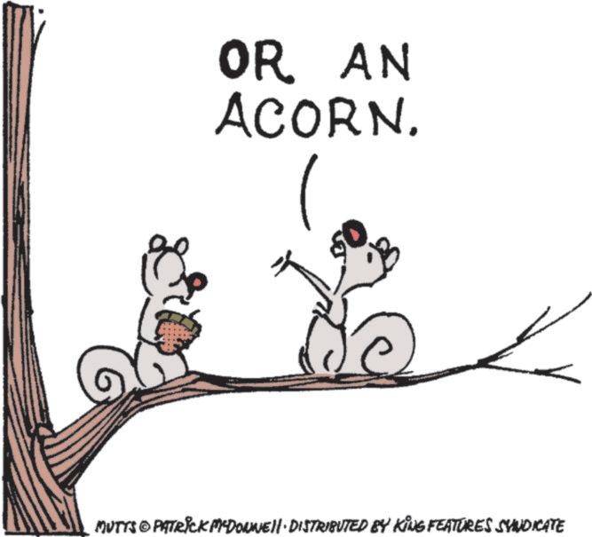 Animated cartoon OCR: OR AN ACORN. MUTTS © PATRICK MYDONNEll · DISTRIBUTED BY KING FEATURES SYNDICATE OR AN ACORN . MUTTS © PATRICK MYDONNEll · DISTRIBUTED BY KING FEATURES SYNDICATE