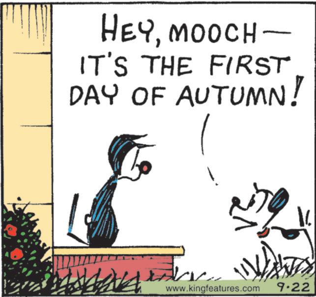 Graphics OCR: HEYMOOCH- IT'S THE FIRST DAY OF AUTUMN! a 16 www.kingfeatures.com 9.22 HEYMOOCH- IT'S THE FIRST DAY OF AUTUMN ! a 16 www.kingfeatures.com 9.22