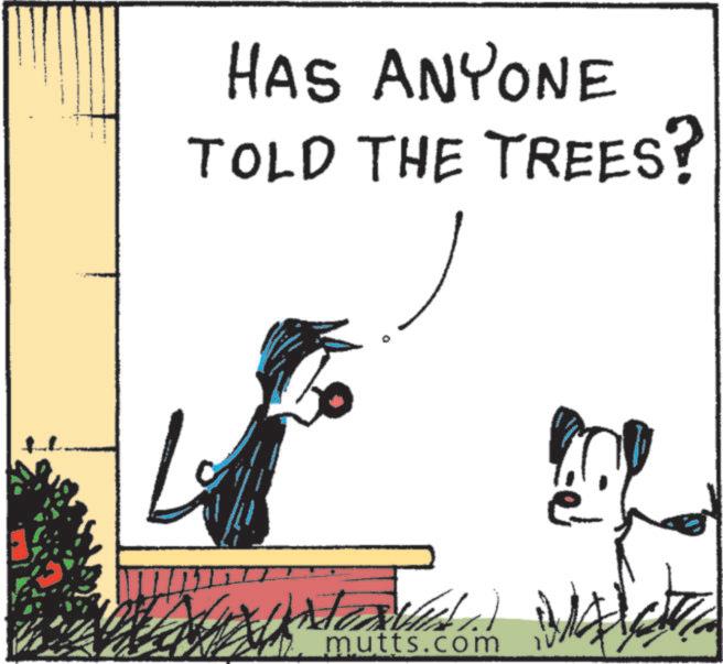 Line art OCR: HAS ANYONE TOLD THE TREES? mutts.com HAS ANYONE TOLD THE TREES ? mutts.com