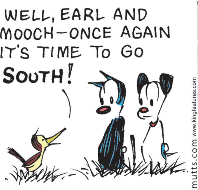 Child art OCR: WELLEARL AND MOOCH-ONCE AGAIN IT'S TIME To Go SOUTH! mutts.com www.kingfeatures.com WELLEARL AND MOOCH - ONCE AGAIN IT'S TIME To Go SOUTH ! mutts.com www.kingfeatures.com