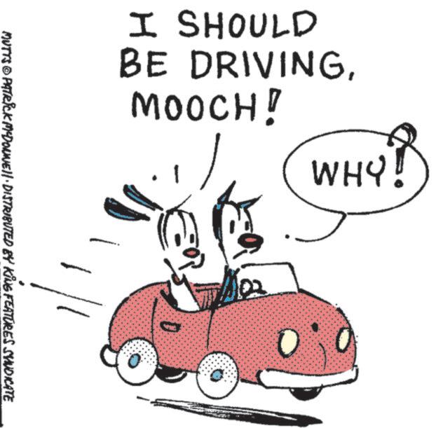 Animated cartoon OCR: I SHOULD BE DRIVINGMOOCH! 1 WHY? MUTTS © PATRICK MYDONNE DISTRIBUTED BY KING FEATURES SYNDICATE 22 I SHOULD BE DRIVINGMOOCH ! 1 WHY ? MUTTS © PATRICK MYDONNE DISTRIBUTED BY KING FEATURES SYNDICATE 22