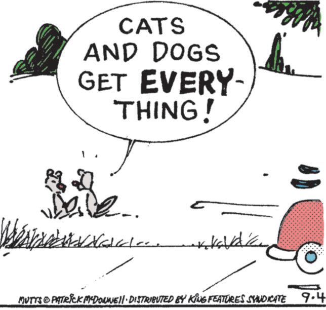 Tail OCR: CATS AND DOGS GET EVERY THING! C MUTTS & PATRICK MCDONNELL DISTRIBUTED BY KING FEATURES SYNDICATE 9.4 CATS AND DOGS GET EVERY THING ! C MUTTS & PATRICK MCDONNELL DISTRIBUTED BY KING FEATURES SYNDICATE 9.4
