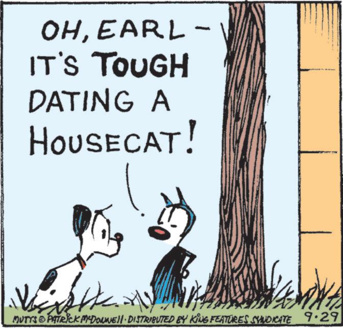 Canidae OCR: OHEARL- IT'S TOUGH DATING A HOUSECAT! MUTTS PATRICK MADONNE DISTRIBUTED BY KING FEATURES SYNDICATE 9.29 OHEARL- IT'S TOUGH DATING A HOUSECAT ! MUTTS PATRICK MADONNE DISTRIBUTED BY KING FEATURES SYNDICATE 9.29