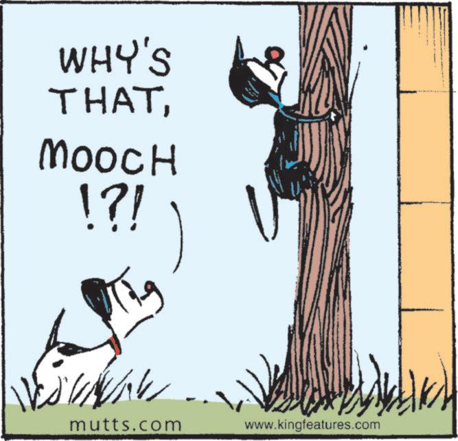 Publication OCR: WHY'S THATMOOCH !?! mutts.com www.kingfeatures.com WHY'S THATMOOCH ! ? ! mutts.com www.kingfeatures.com