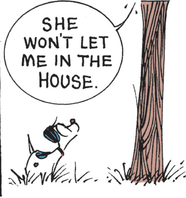 Fiction OCR: SHE WON'T LET ME IN THE HOUSE. SHE WON'T LET ME IN THE HOUSE .