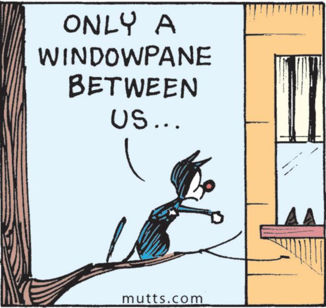 Fiction OCR: ONLY A WINDOWPANE BETWEEN US... mutts.com · ONLY A WINDOWPANE BETWEEN US ... mutts.com ·