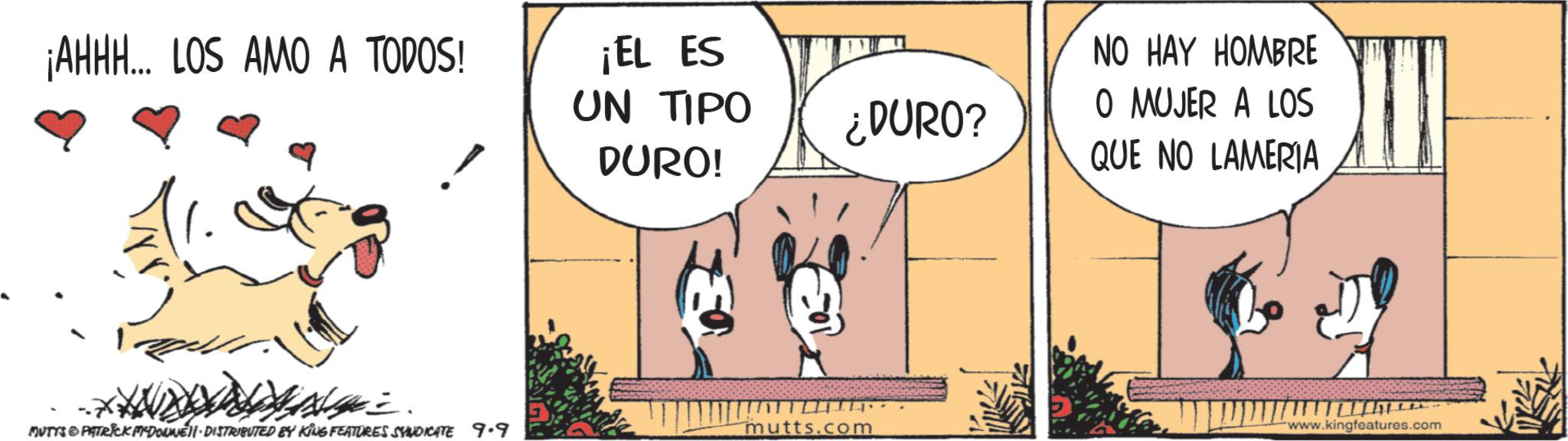 Canidae OCR: ¡AHHH... LOS AMO A TODOS! ¡EL ES NO HAY HOMBRE UN TIPO DURO! ¿DURO? O MUJER A LOS QUE NO LAMERIA MUTTS & PATRICK M-DOWNE DISTRIBUTED BY KING FEATURES SYNDICATE 9.9 mutts.com www.kingfeatures.com ¡ AHHH ... LOS AMO A TODOS ! ¡ EL ES NO HAY HOMBRE UN TIPO DURO ! ¿ DURO ? O MUJER A LOS QUE NO LAMERIA MUTTS & PATRICK M - DOWNE DISTRIBUTED BY KING FEATURES SYNDICATE 9.9 mutts.com www.kingfeatures.com
