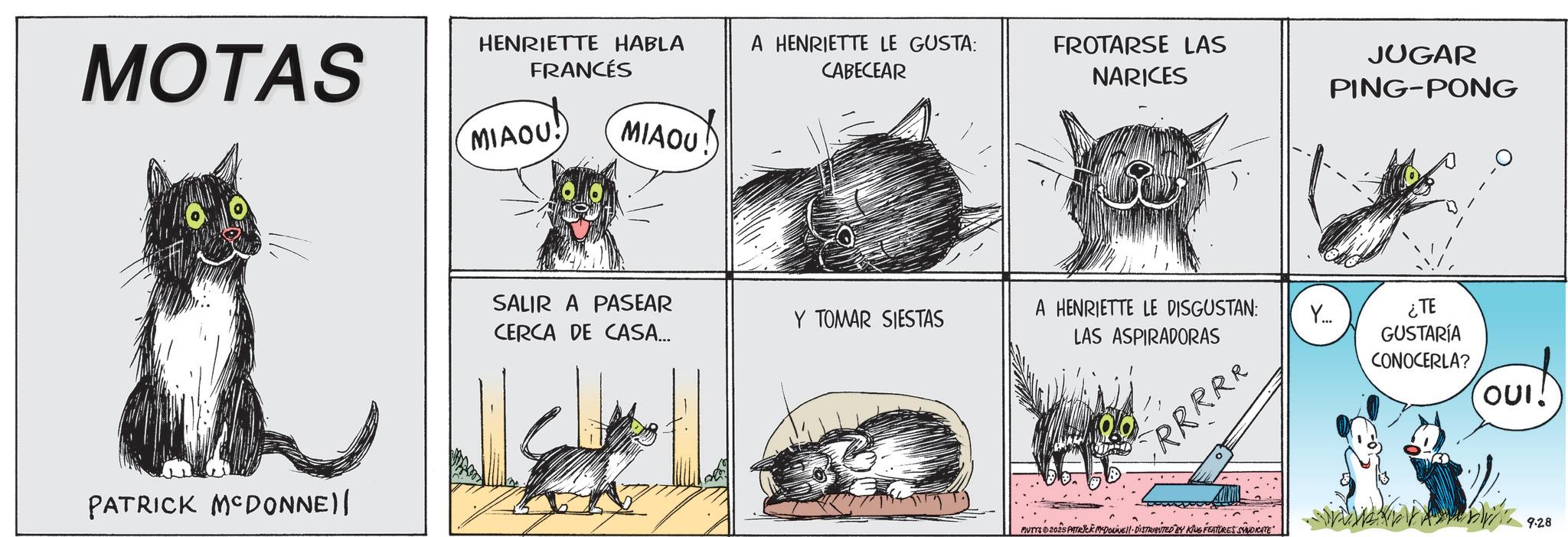 Pest OCR: HENRIETTE HABLA A HENRIETTE LE GUSTA: CABECEAR FROTARSE LAS NARICES MOTAS FRANCÉS MIAOU! MIAOU PATRICK MCDONNE)| SALIR A PASEAR CERCA DE CASA... JUGAR PING-PONG Y TOMAR SIESTAS A HENRIETTE LE DISGUSTAN: Y... LAS ASPIRADORAS ¿TE GUSTARÍA CONOCERLA? RRRRR OUI! 9.28 MUTTS 02025 PATRICK MYDONNE - DISTRIBUTED BY KING FEATURES SYNDICATE HENRIETTE HABLA A HENRIETTE LE GUSTA : CABECEAR FROTARSE LAS NARICES MOTAS FRANCÉS MIAOU ! MIAOU PATRICK MCDONNE ) | SALIR A PASEAR CERCA DE CASA ... JUGAR PING - PONG Y TOMAR SIESTAS A HENRIETTE LE DISGUSTAN : Y ... LAS ASPIRADORAS ¿ TE GUSTARÍA CONOCERLA ? RRRRR OUI ! 9.28 MUTTS 02025 PATRICK MYDONNE - DISTRIBUTED BY KING FEATURES SYNDICATE