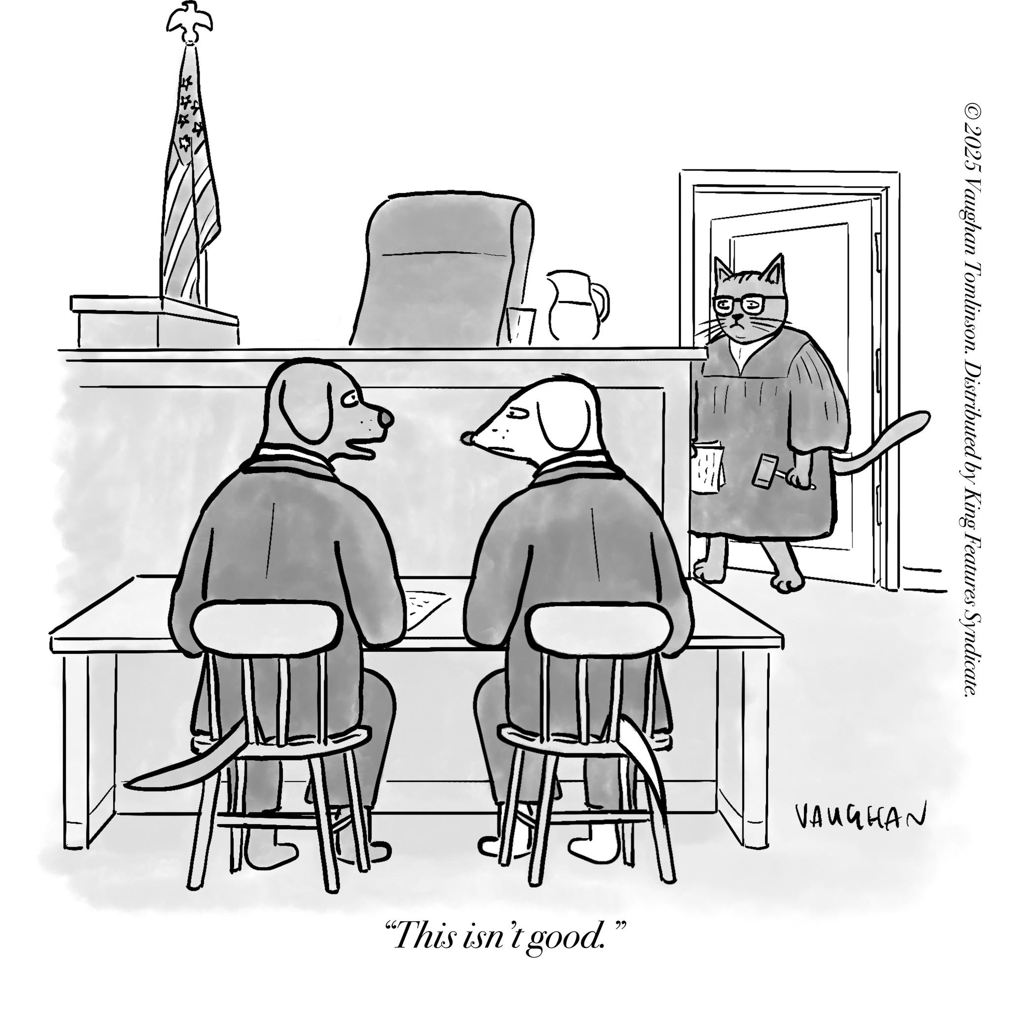 Conversation OCR: ©2025 Vaughan Tomlinson. Distributed by King Features Syndicate. “This isn't good.” VAUGHAN © 2025 Vaughan Tomlinson . Distributed by King Features Syndicate . “ This isn't good . ” VAUGHAN