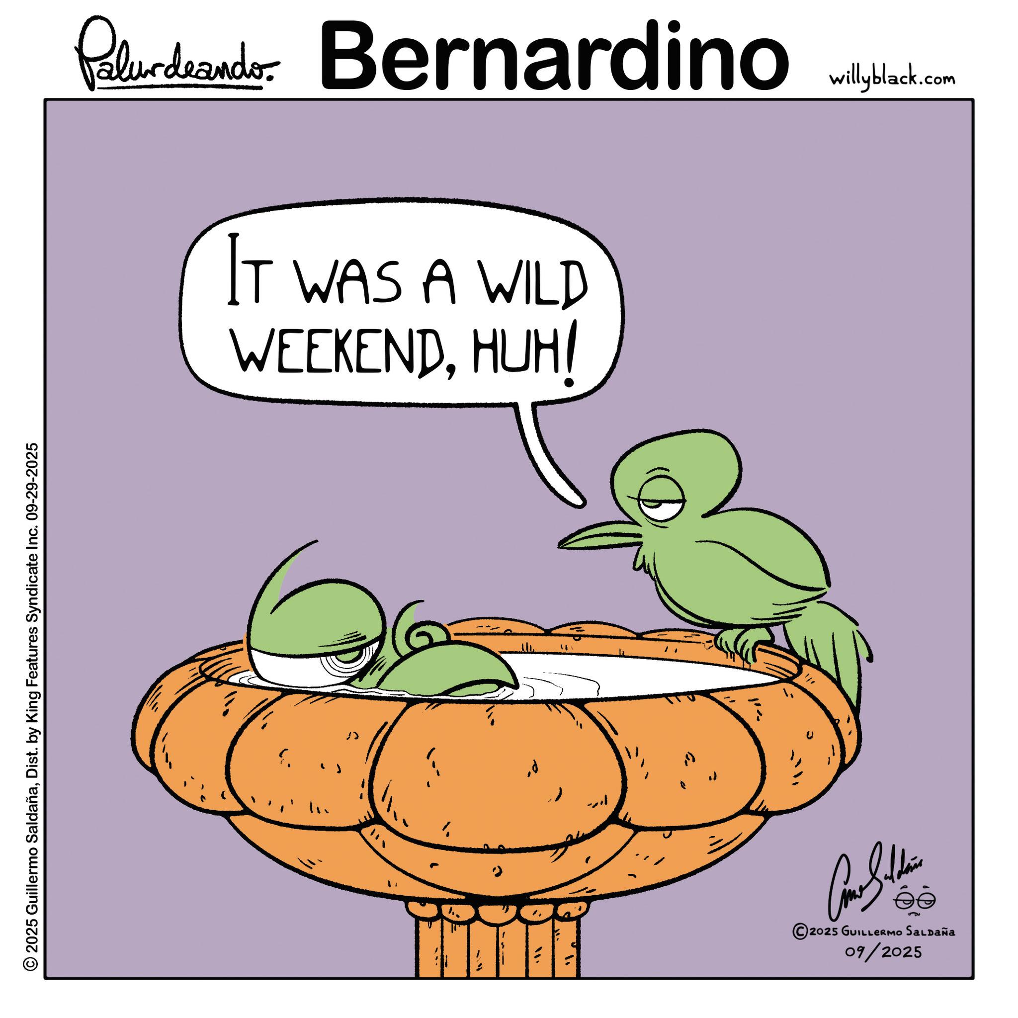 Beak OCR: © 2025 Guillermo SaldañaDist. by King Features Syndicate Inc. 09-29-2025 Paludando Bernardino IT WAS A WILD WEEKENDHUH! ; = ©2025 GUILLERMO SALDAÑA 09/2025 willyblack.com © 2025 Guillermo SaldañaDist . by King Features Syndicate Inc. 09-29-2025 Paludando Bernardino IT WAS A WILD WEEKENDHUH ! ; = © 2025 GUILLERMO SALDAÑA 09/2025 willyblack.com