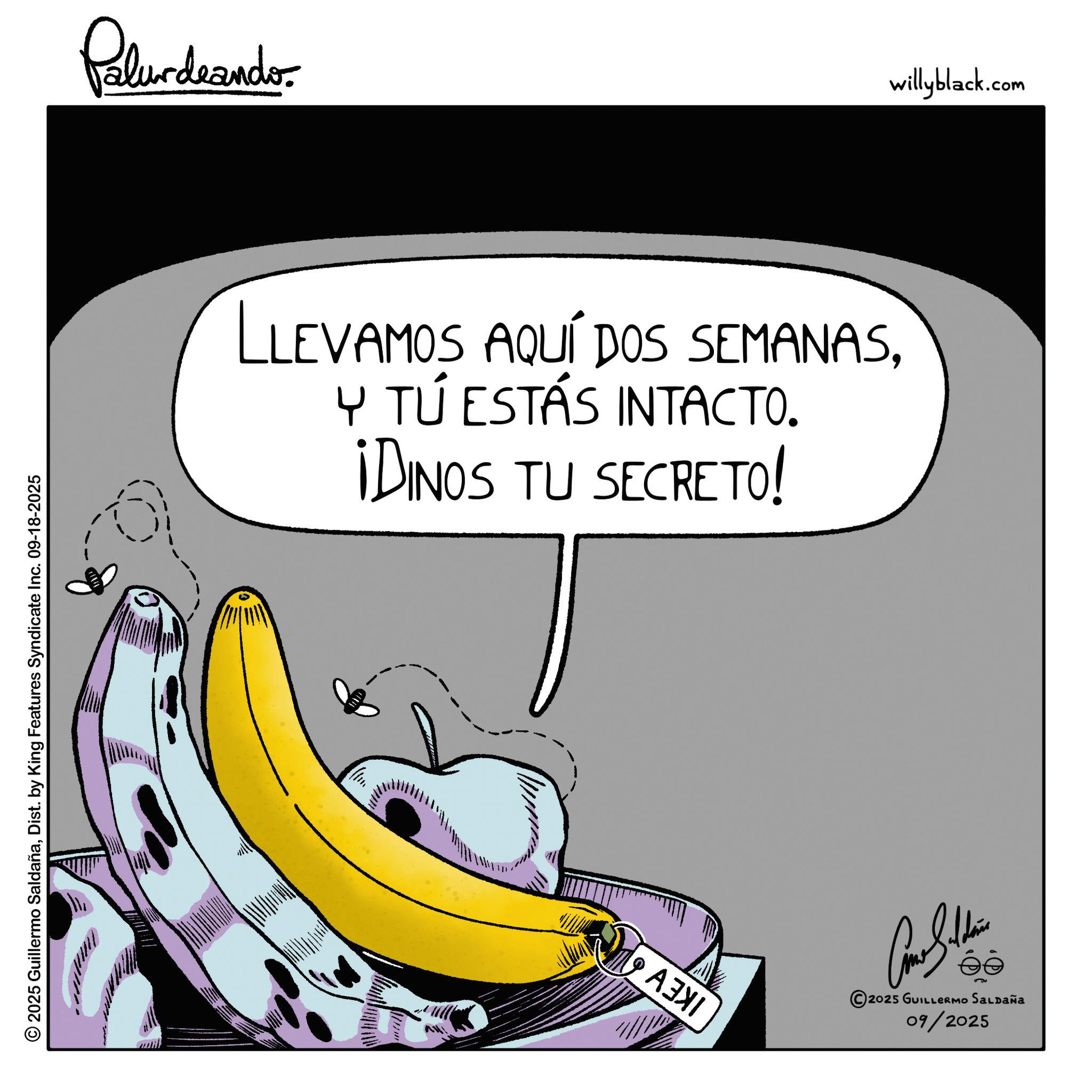 Animated cartoon OCR: 2025 Guillermo SaldañaDist. by King Features Syndicate Inc. 09-18-2025 Palurdaander LLEVAMOS AQUÍ DOS SEMANASY TÚ ESTÁS INTACTO. ¡DINOS TU SECRETO! IKEV Blu 2025 GUILLERMO SALDAÑa 09/2025 willyblack.com 2025 Guillermo SaldañaDist . by King Features Syndicate Inc. 09-18-2025 Palurdaander LLEVAMOS AQUÍ DOS SEMANASY TÚ ESTÁS INTACTO . ¡ DINOS TU SECRETO ! IKEV Blu 2025 GUILLERMO SALDAÑa 09/2025 willyblack.com