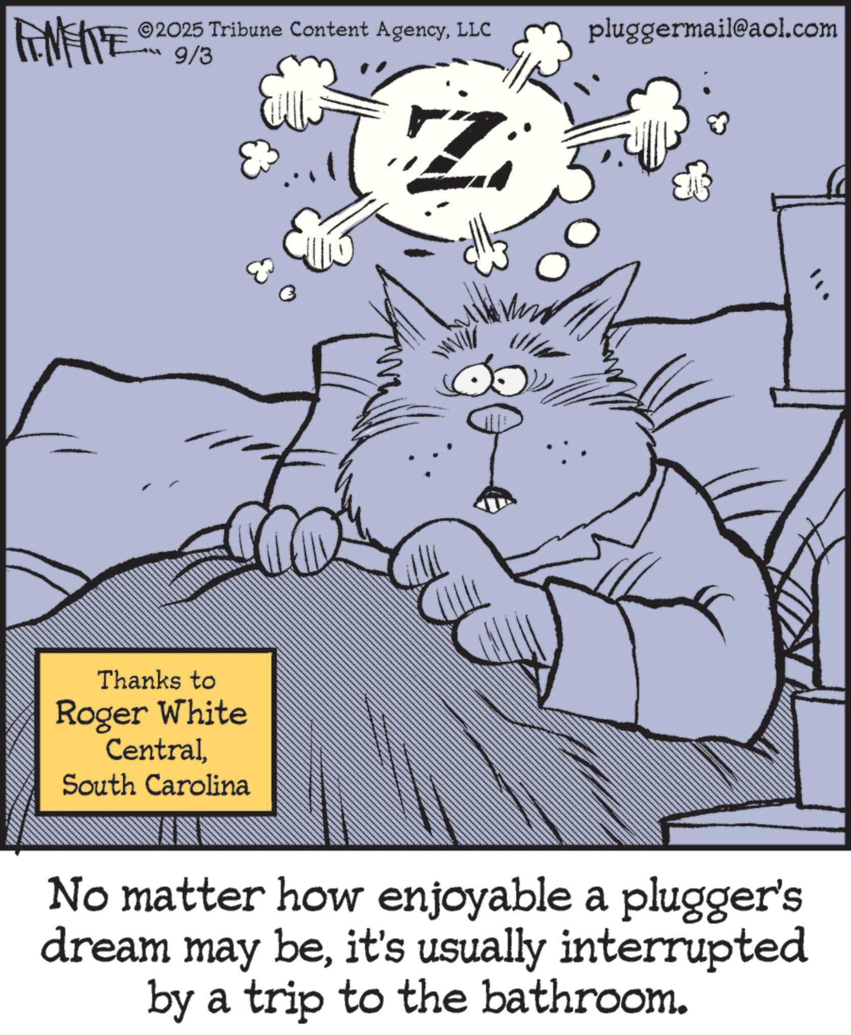Felidae OCR: 2025 Tribune Content AgencyLLC pluggermail@aol.com FENFITE 29/3 Thanks to Roger White CentralSouth Carolina No matter how enjoyable a plugger's dream may beit's usually interrupted by a trip to the bathroom. 2025 Tribune Content AgencyLLC pluggermail@aol.com FENFITE 29/3 Thanks to Roger White CentralSouth Carolina No matter how enjoyable a plugger's dream may beit's usually interrupted by a trip to the bathroom .