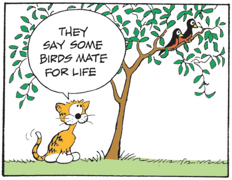 Animated cartoon OCR: THEY SAY SOME BIRDS MATE FOR LIFE ???? THEY SAY SOME BIRDS MATE FOR LIFE ????