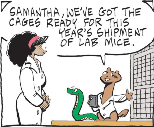 Fiction OCR: SAMANTHAWE'VE GOT THE CAGES READY FOR THIS YEAR'S SHIPMENT OF LAB MICE. SAMANTHAWE'VE GOT THE CAGES READY FOR THIS YEAR'S SHIPMENT OF LAB MICE .