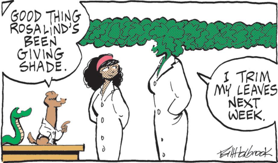 Fiction OCR: GOOD THING ROSALIND'S BEEN GIVING SHADE. D I TRIM MY LEAVES NEXT WEEK. FiltHalbrook GOOD THING ROSALIND'S BEEN GIVING SHADE . D I TRIM MY LEAVES NEXT WEEK . FiltHalbrook