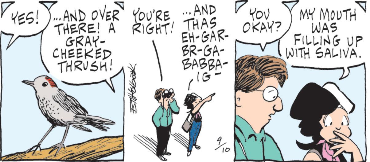 Bird OCR: ? Yov MY MOUTH OKAY? WAS EH-GAR- FILLING UP BR-GA- WITH SALIVA. BABBA- YES! ... AND OVER YOU'RE THERE! A GRAY- • AND RIGHT! THAS CHEEKED THRUSH! ??????? IG- %/10 ? Yov MY MOUTH OKAY ? WAS EH - GAR- FILLING UP BR - GA- WITH SALIVA . BABBA- YES ! ... AND OVER YOU'RE THERE ! A GRAY- • AND RIGHT ! THAS CHEEKED THRUSH ! ??????? IG- % / 10