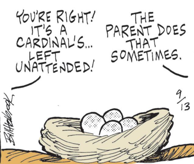 Line art OCR: YOU'RE RIGHT! IT'S A CARDINAL'S... LEFT UNATTENDED! THE PARENT DOES THAT SOMETIMES. 9 13 ??????? YOU'RE RIGHT ! IT'S A CARDINAL'S ... LEFT UNATTENDED ! THE PARENT DOES THAT SOMETIMES . 9 13 ???????