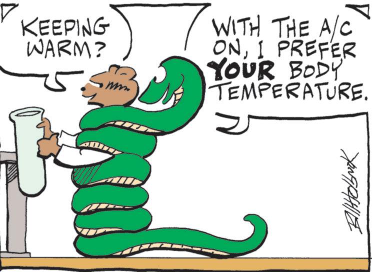 Snakes OCR: KEEPING WARM? WITH THE A/C ONI PREFER YOUR BODY TEMPERATURE. Alkolbook KEEPING WARM ? WITH THE A / C ONI PREFER YOUR BODY TEMPERATURE . Alkolbook