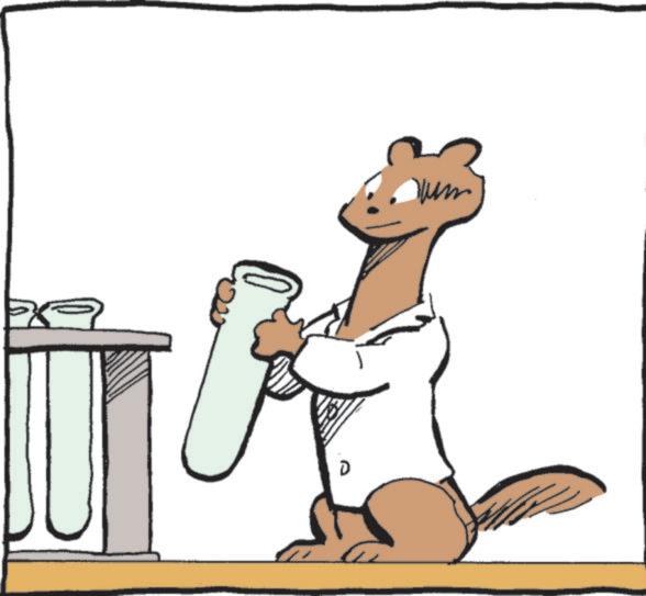 Tail OCR: um um