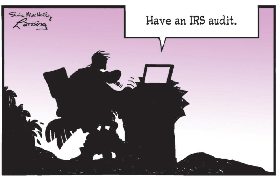Graphic design OCR: Susie MacNelly Lansing Have an IRS audit. Susie MacNelly Lansing Have an IRS audit .