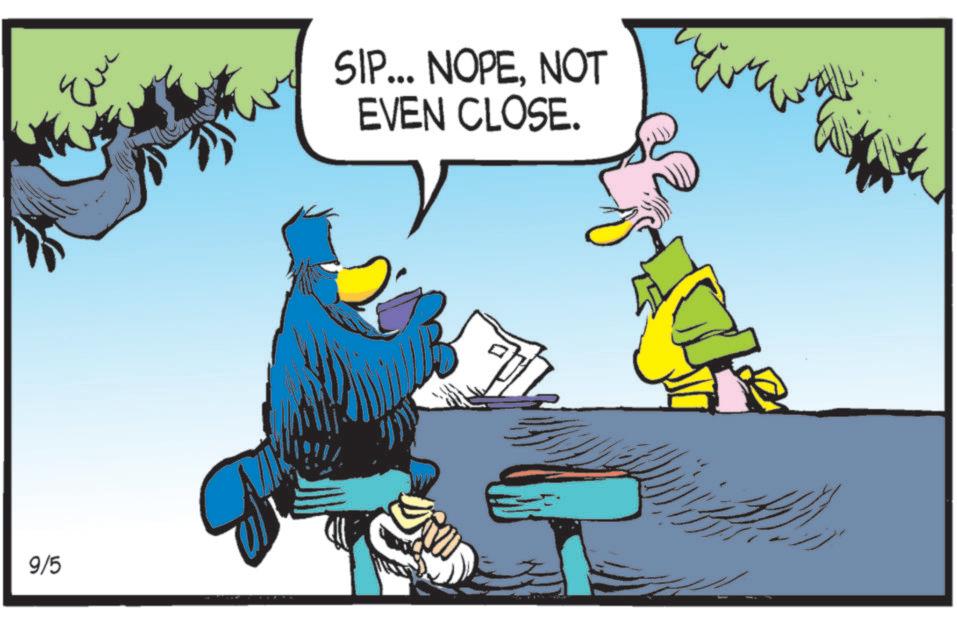 Bird OCR: 9/5 ??? SIP... NOPENOT EVEN CLOSE. 9/5 ??? SIP ... NOPENOT EVEN CLOSE .