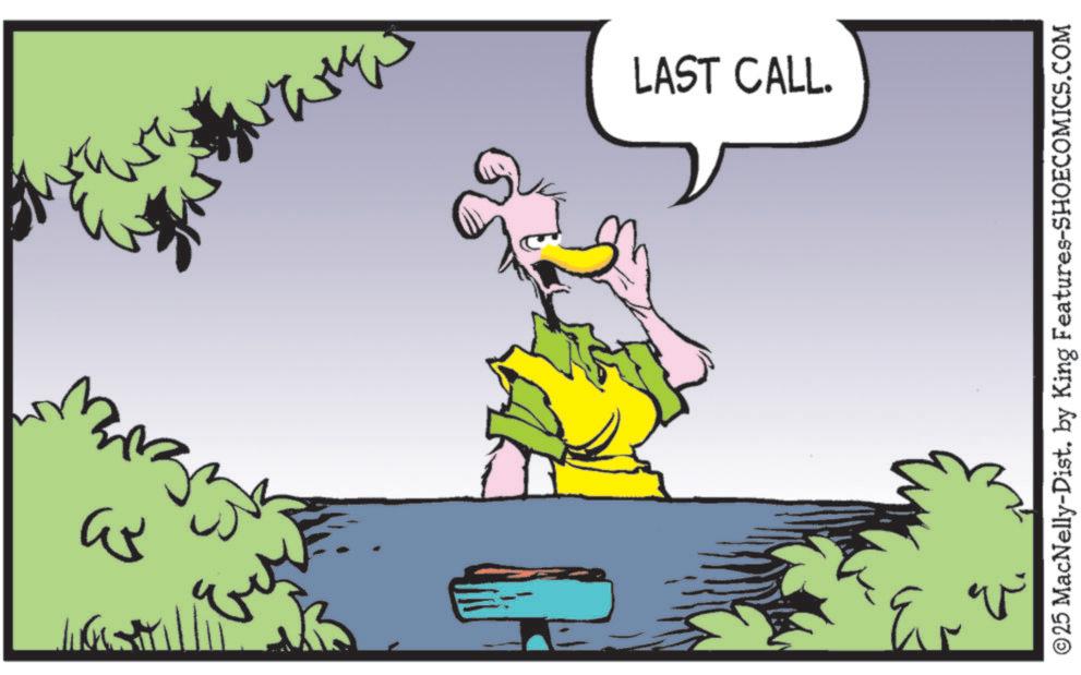 Fictional character OCR: ? LAST CALL. © 25 MacNelly-Dist. by King Features-SHOECOMICS.COM ? LAST CALL . © 25 MacNelly - Dist . by King Features-SHOECOMICS.COM