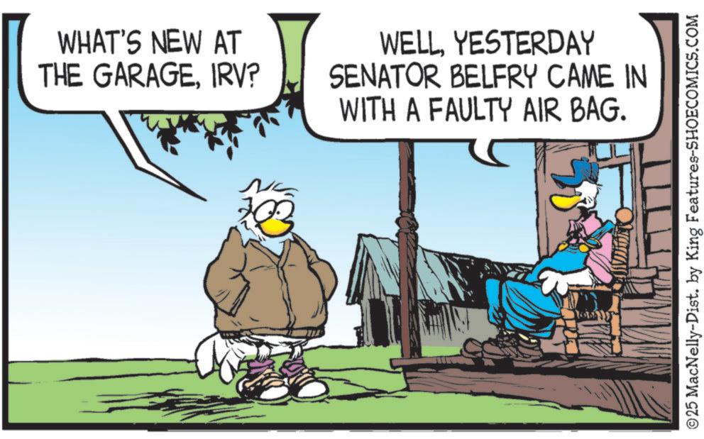 Photo caption OCR: WHAT'S NEW AT THE GARAGEIRV? WELLYESTERDAY SENATOR BELFRY CAME IN WITH A FAULTY AIR BAG. ©25 MacNelly-Dist. by King Features-SHOECOMICS.COM WHAT'S NEW AT THE GARAGEIRV ? WELLYESTERDAY SENATOR BELFRY CAME IN WITH A FAULTY AIR BAG . © 25 MacNelly - Dist . by King Features-SHOECOMICS.COM