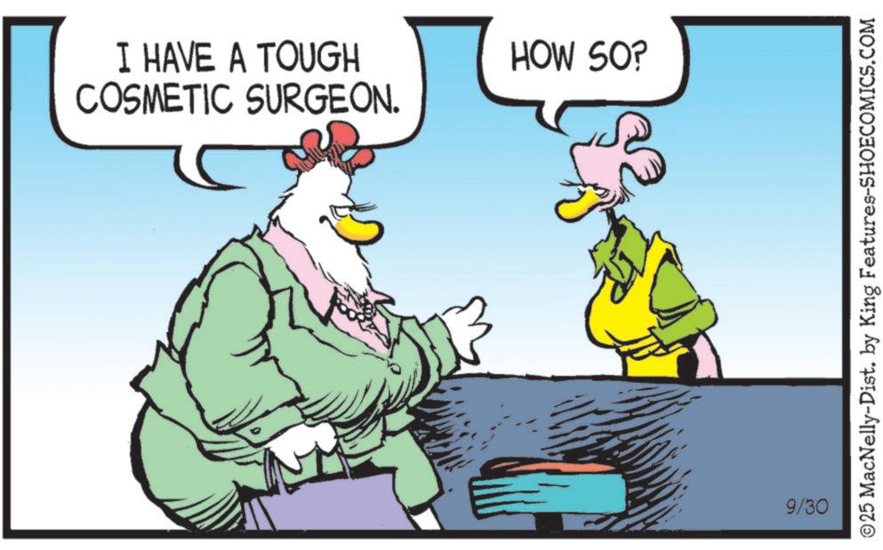 Landfowl OCR: I HAVE A TOUGH COSMETIC SURGEON. HOW SO? 9/30 ©25 MacNelly-Dist. by King Features-SHOECOMICS.COM I HAVE A TOUGH COSMETIC SURGEON . HOW SO ? 9/30 © 25 MacNelly - Dist . by King Features-SHOECOMICS.COM