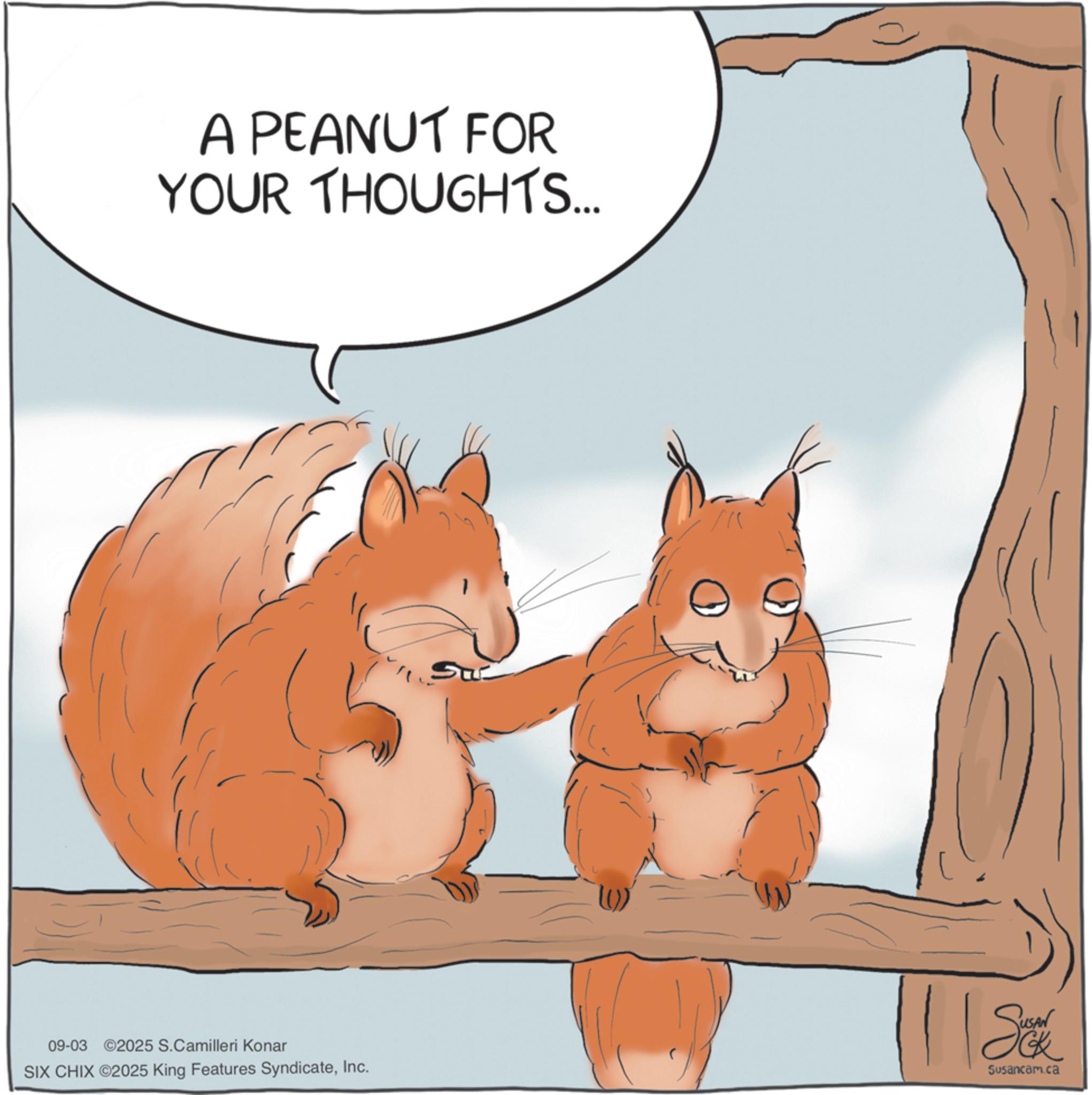 Red squirrel OCR: A PEANUT FOR YOUR THOUGHTS.... 09-03 2025 S.Camilleri Konar SIX CHIX ©2025 King Features SyndicateInc. So Susancam.ca A PEANUT FOR YOUR THOUGHTS .... 09-03 2025 S.Camilleri Konar SIX CHIX © 2025 King Features SyndicateInc. So Susancam.ca