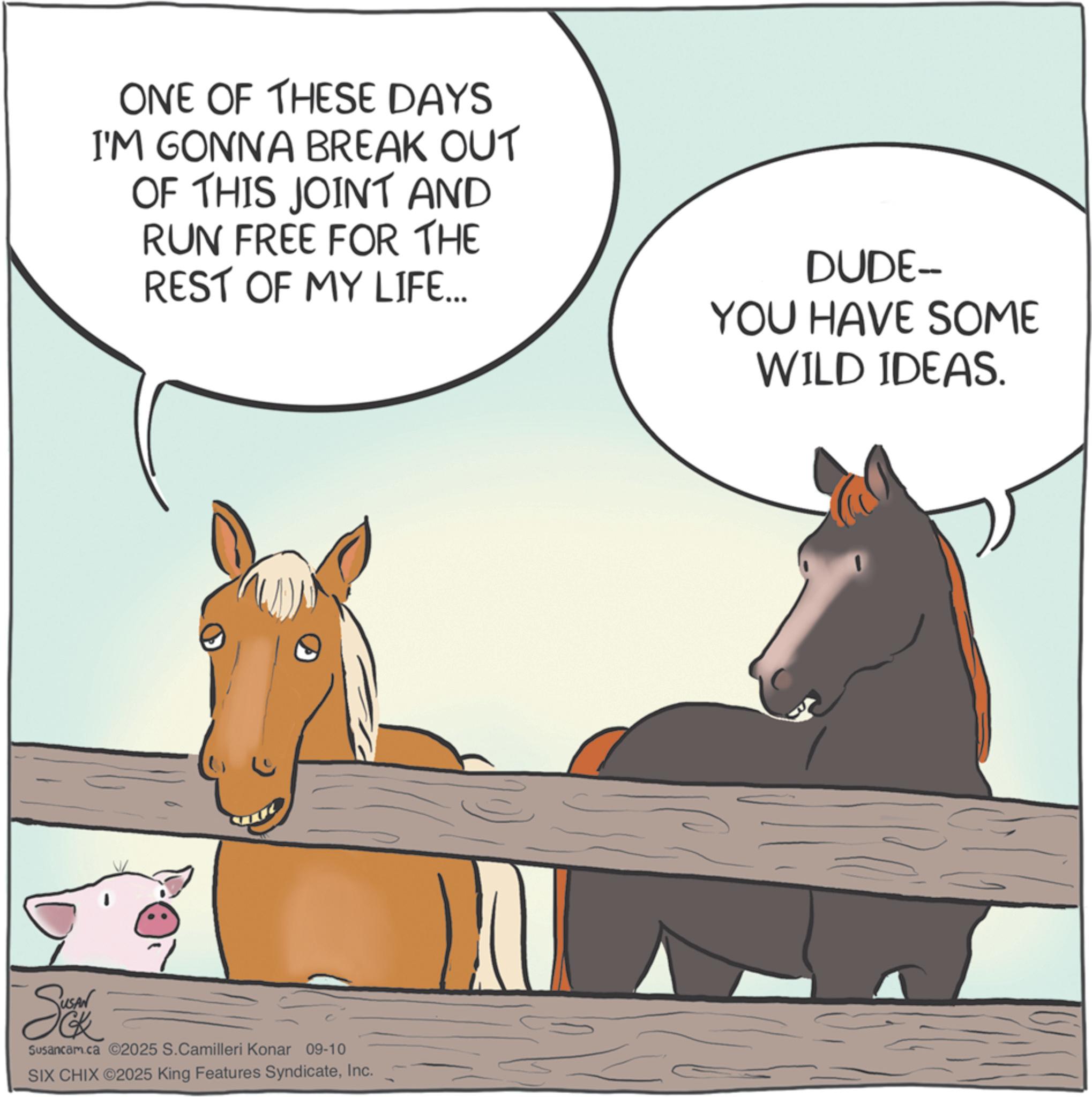 Ranch OCR: ONE OF THESE DAYS I'M GONNA BREAK OUT OF THIS JOINT AND RUN FREE FOR THE REST OF MY LIFE... DUDE- YOU HAVE SOME WILD IDEAS. S Susancam.ca 2025 S.Camilleri Konar 09-10 SIX CHIX ©2025 King Features SyndicateInc. ONE OF THESE DAYS I'M GONNA BREAK OUT OF THIS JOINT AND RUN FREE FOR THE REST OF MY LIFE ... DUDE- YOU HAVE SOME WILD IDEAS . S Susancam.ca 2025 S.Camilleri Konar 09-10 SIX CHIX © 2025 King Features Syndicate