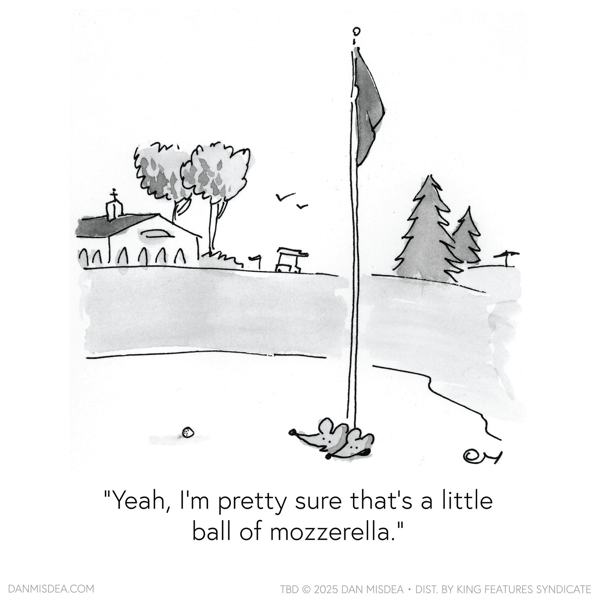 Child art OCR: m H "YeahI'm pretty sure that's a little ball of mozzerella." DANMISDEA.COM TBD 2025 DAN MISDEA • DIST. BY KING FEATURES SYNDICATE m H " YeahI'm pretty sure that's a little ball of mozzerella . " DANMISDEA.COM TBD 2025 DAN MISDEA • DIST . BY KING FEATURES SYNDICATE