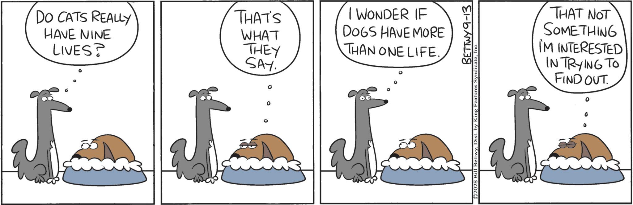 Fiction OCR: DO CATS REALLY HAVE NINE LIVES? 0 THAT'S WHAT THEY SAY 0 I WONDER IF DOGS HAVE MORE THAN ONE LIFE. BETTWY 9-13 THAT NOT SOMETHING I'M INTERESTED IN TRYING TO FIND OUT. 0 DO CATS REALLY HAVE NINE LIVES ? 0 THAT'S WHAT THEY SAY 0 I WONDER IF DOGS HAVE MORE THAN ONE LIFE . BETTWY 9-13 THAT NOT SOMETHING I'M INTERESTED IN TRYING TO FIND OUT . 0