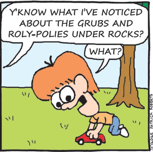 Fictional character OCR: ? Y'KNOW WHAT I'VE NOTICED ABOUT THE GRUBS AND ROLY-POLIES UNDER ROCKS? WHAT? " ?? ? ? " L PATRICK ROBERTS ? Y'KNOW WHAT I'VE NOTICED ABOUT THE GRUBS AND ROLY - POLIES UNDER ROCKS ? WHAT ? " ?? ? ? " L PATRICK ROBERTS