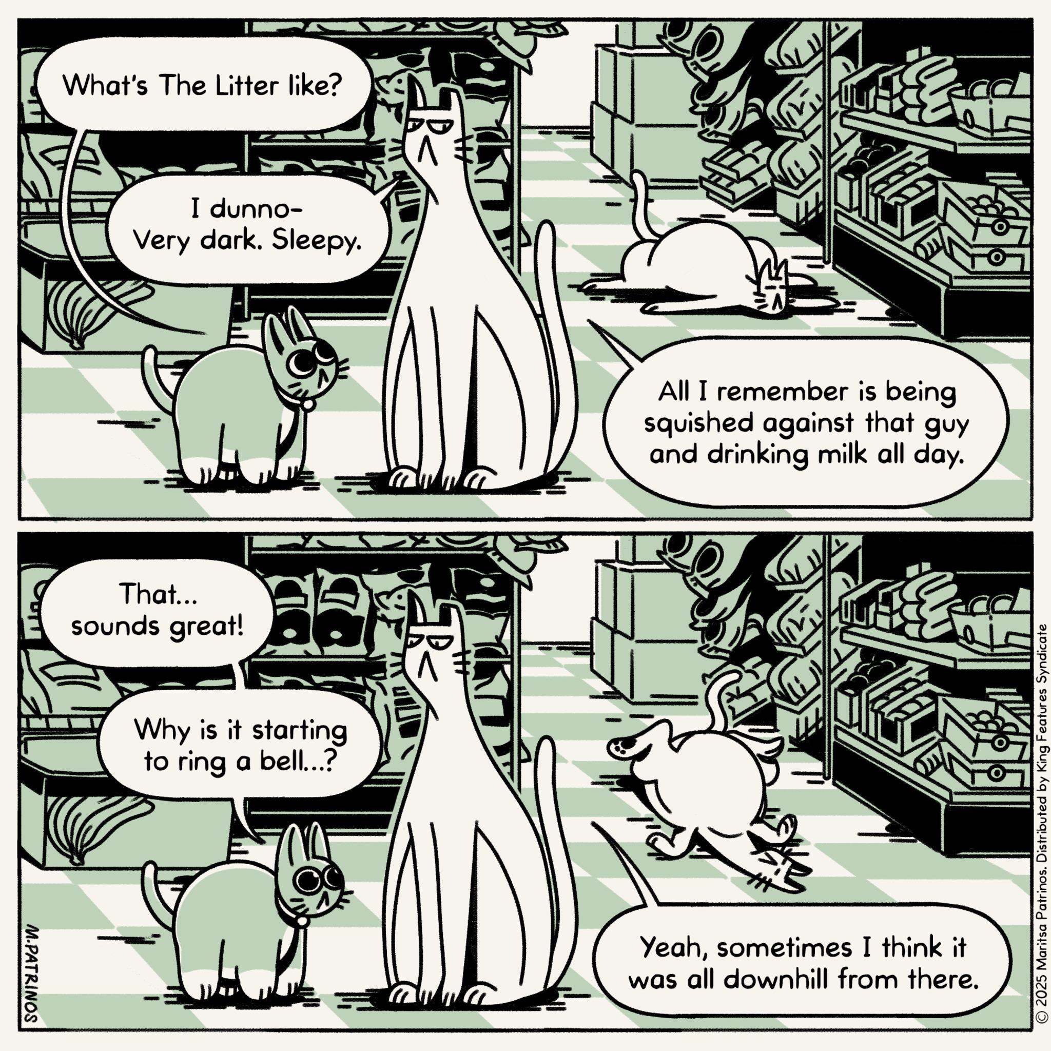 Animated cartoon OCR: M.PATRINOS What's The Litter like? I dunno- Very dark. Sleepy. That... sounds great! Why is it starting to ring a bell...? ???? All I remember is being squished against that guy and drinking milk all day. Yeahsometimes I think it was all downhill from there. © 2025 Maritsa Patrinos. Distributed by King Features Syndicate M.PATRINOS What's The Litter like ? I dunno- Very dark . Sleepy . That ... sounds great ! Why is it starting to ring a bell ... ? ???? All I remember is being squished against that guy and drinking milk all day . Yeahsometimes I think it was all downhill from there . © 2025 Maritsa Patrinos . Distributed by King Features Syndicate