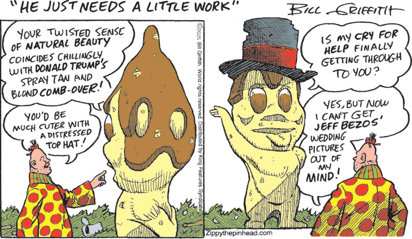 Pleased OCR: HE JUST NEEDS A LITTLE WORK" YOUR TWISTED SENSE OF NATURAL BEAUTY COINCIDES CHILLINGLY. WITH DONALD TRUMP'S SPRAY TAN AND BLOND COMB-OVER! YOU'D BE MUCH CUTER WITH A DISTRESSED TOP HAT! 9 2025 Bill Griffith. World rights reserved. Distributed by King Features Syndicate BILL GRIFFITIt IS MY CRY FOR HELP FINALLY GETTING THROUGH TO YOU? YESBUT NOW I CAN'T GET JEFF BEZOS' WEDDING PICTURES OUT OF MY MIND! Zippythepinhead.com HE JUST NEEDS A LITTLE WORK " YOUR TWISTED SENSE OF NATURAL BEAUTY COINCIDES CHILLINGLY . WITH DONALD TRUMP'S SPRAY TAN AND BLOND COMB - OVER ! YOU'D BE MUCH CUTER WITH A DISTRESSED TOP HAT ! 9 2025 Bill Griffith . World rights reserved . Distributed by King Features Syndicate BILL GRIFFITIt IS MY CRY FOR HELP FINALLY GETTING THROUGH TO YOU ? YESBUT NOW I CAN'T GET JEFF BEZOS ' WEDDING PICTURES OUT OF MY MIND ! Zippythepinhead.com